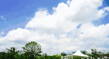 城市主題公園的規(guī)劃設計