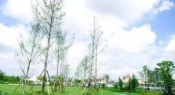 城市主題公園的規(guī)劃設計